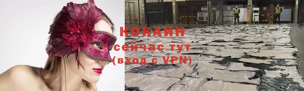 дживик Зеленодольск