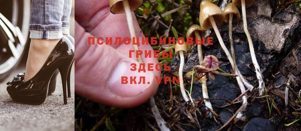 mdma Зеленокумск