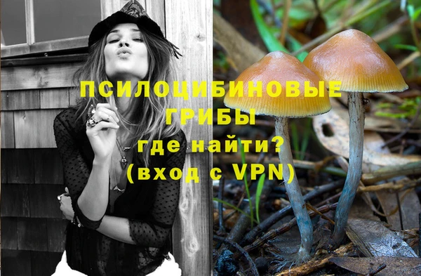 дживик Зеленодольск