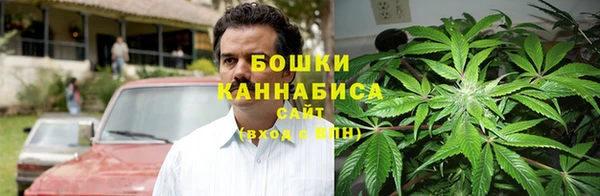 дживик Зеленодольск